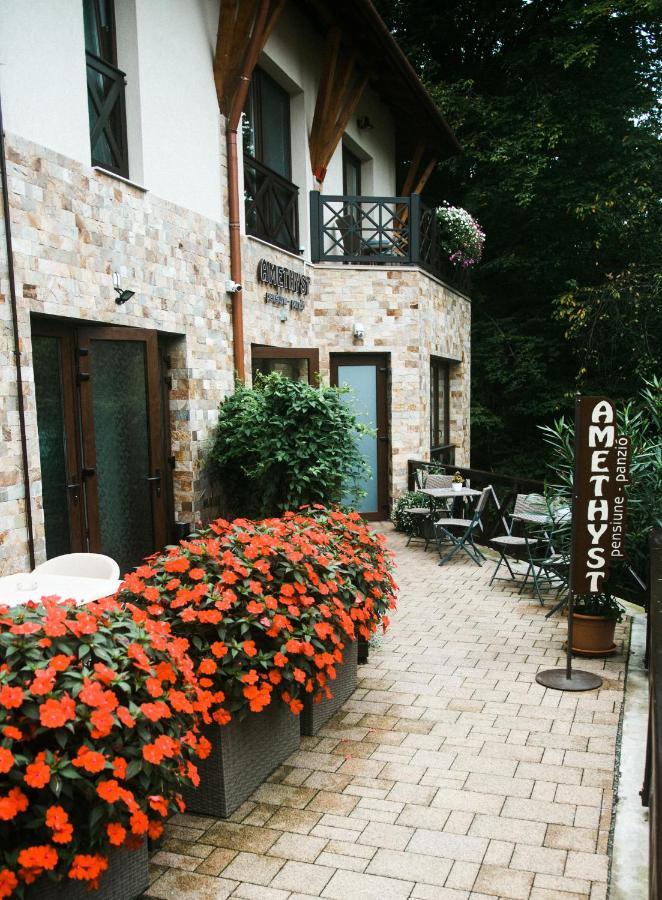 Amethyst Bed & Breakfast Совата Екстериор снимка